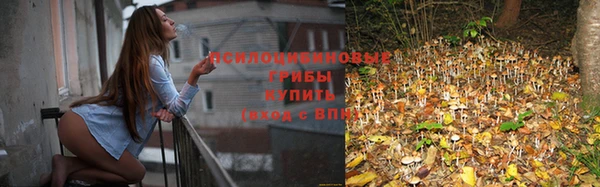 spice Белоозёрский