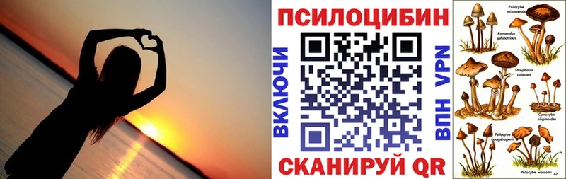 Галлюциногенные грибы GOLDEN TEACHER  Купить где  Мышкин 